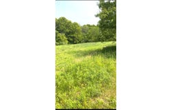 McCain Road, Spring Arbor, MI 49283