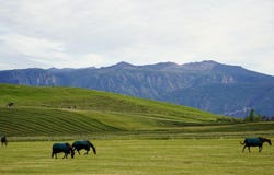 218 McCormick Road, Sheridan, WY 82801