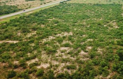 00 Hwy 83 South, Carrizo Springs, TX 78834