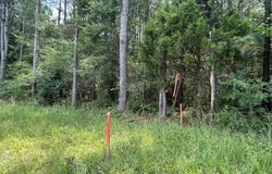 Parcel 2 George Boutwell Rd., Ovett, MS 39464