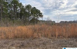 HIDDEN LAKE DRIVE lot: 23, EMPIRE, AL 35063