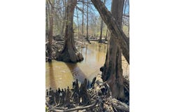 Tbd East Hwy 59, Marshall, TX 75672