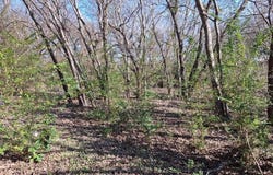 700 E College Street, Grandview, TX 76050