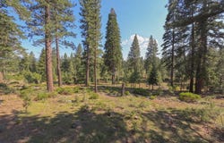 11349 China Camp Road, Truckee, CA 96161