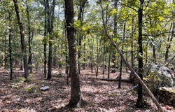 38 Antlers Road, Antlers, OK 74523
