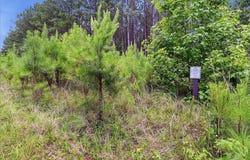 31 Waterside Point, Abbeville, SC 29620
