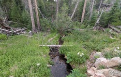 11 Pearl Creek Rd, Red Feather Lakes, CO 80545