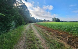 Spillers Road, Potts Camp, MS 38659