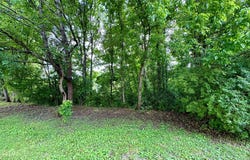 0 Watermelon Hill Road, Louisa, KY 41230