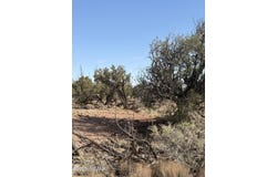 8580b Lawson Lane, Snowflake, AZ 85937