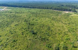 20ac Ouzts, Edgefield, SC 29824