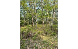 160 Oakridge Drive unit: 137, Pike, PA 18328