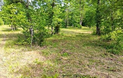 Tract 1 Kulp Road, Boles, AR 72926