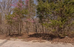 2456 Alpine Peak Dr., Innsbrook, MO 63390