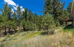 10332 Sugar Pine Road, Truckee, CA 96161