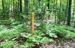 WHITE PINE LOOP lot: 32, Eagle River, WI 54521