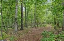 GALILEE ROAD, BIG POOL, MD 21711