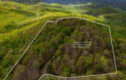 43.91 Old Burnt Mountain Road, Ellijay, GA 30540