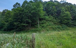 Tbd New Hurland Church Road, Hiltons, VA 24258