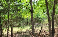 Tbd CR 3145, Clarksville, TX 75426