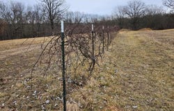 31312 95-146, Norwood, MO 65717