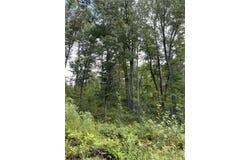 Lot 17 Jamesway Road, Siren, WI 54872