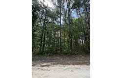 Hillcrest Drive, Hampton, SC 29924