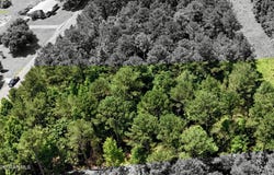 Highway 12 E, Steens, MS 39766