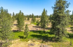 00xxx Blomgren Rd E, Edwall, WA 99008