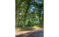 TBD1 Baudoin Rd, Maurice, LA 70555