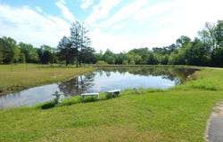 6620 FM 1795, Gilmer, TX 75644