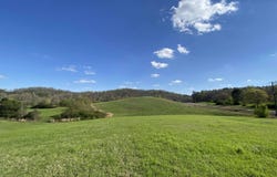 6555 HIGHWAY 174, SPRINGVILLE, AL 35146