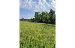 000 Terrace Lane, Cape Fair, MO 65624