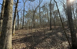 00 Ironwood Drive, Saulsbury, TN 38067