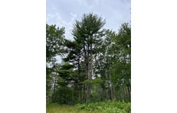 W37XX Frog Creek Road, Minong, WI 54859