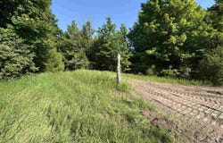 Lot #6 E Bellinger Road, Cedar, MI 49621