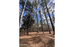 SW 162ND TER, Starke, FL 32091