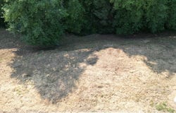 6805 MAGNOLIA CT, Brookings, OR 97415