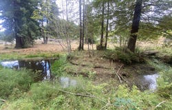 003 Pomeroy Hollow Road, Freshwater, CA 95503
