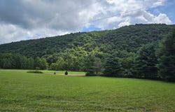 Upper Back Creek Road, Mill Gap, VA 24465