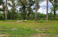 24571 St Mathews Church, Metter, GA 30439