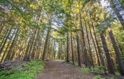 N Mt Spokane Park Dr, Mead, WA 99021