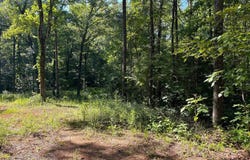 5170 MCGOWANS FERRY ROAD, CHILDERSBURG, AL 35044