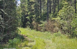 449 County Road 4851, TIMPSON, TX 75975