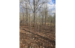 County Road T-435, Birch Tree, MO 65438
