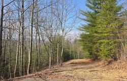 8 & 9 Up The Ridge Road, Blairsville, GA 30512