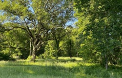 Benzel Court, Hastings, MI 49058