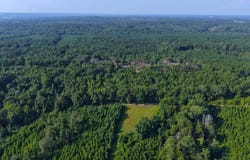 0 Co. Rd. 404, Elba, AL 36323