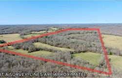 1380 County Road 219, Thayer, MO 65791