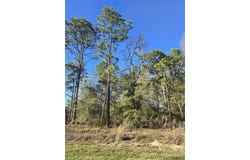5215 E South Crossing Court, Inverness, FL 34452